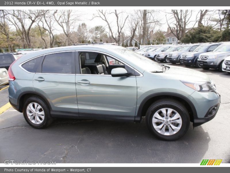 Opal Sage Metallic / Black 2012 Honda CR-V EX-L 4WD