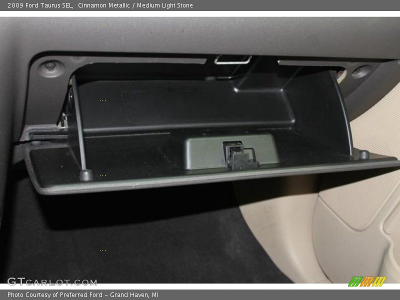 Cinnamon Metallic / Medium Light Stone 2009 Ford Taurus SEL