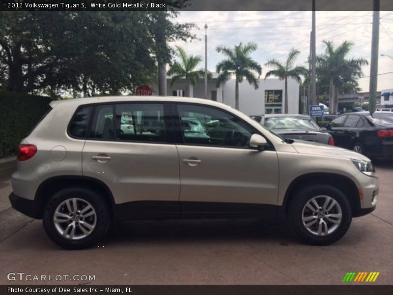 White Gold Metallic / Black 2012 Volkswagen Tiguan S