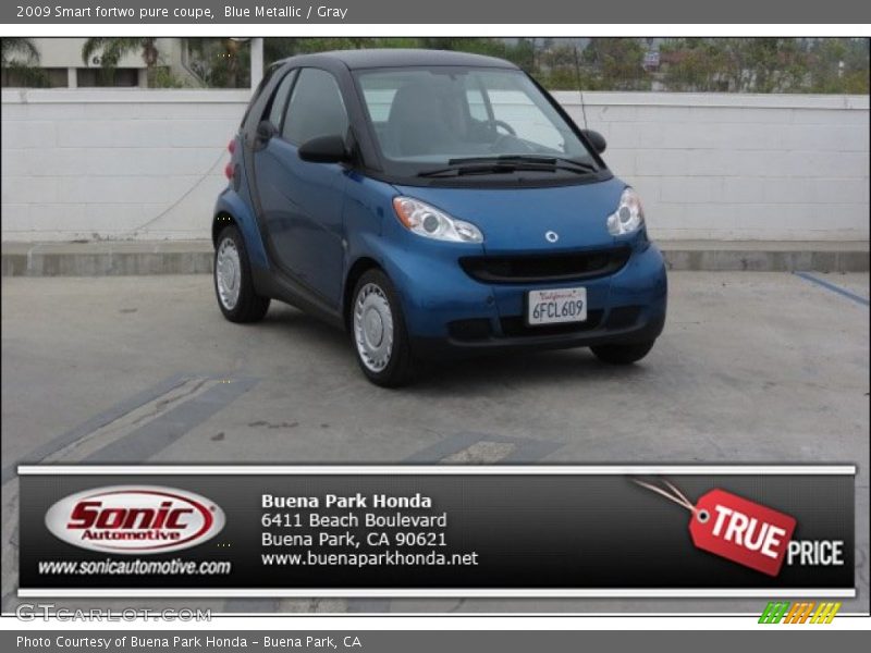 Blue Metallic / Gray 2009 Smart fortwo pure coupe