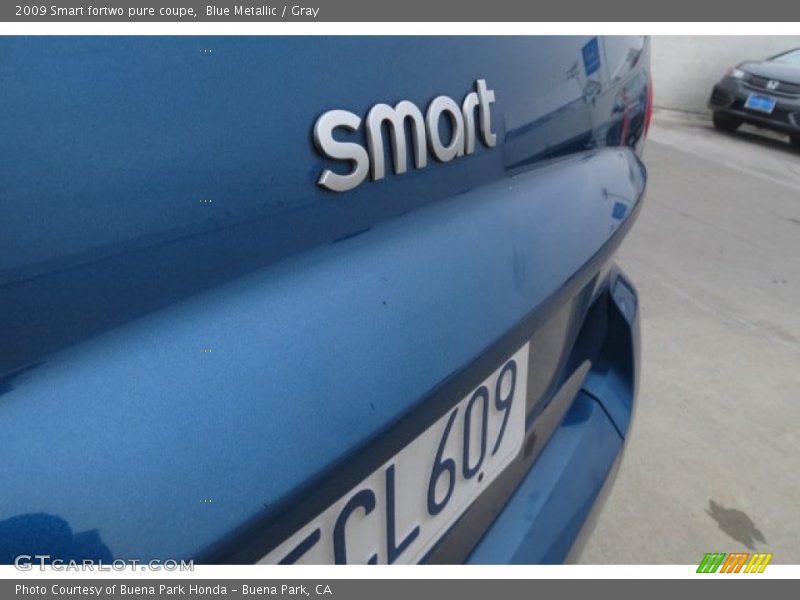 Blue Metallic / Gray 2009 Smart fortwo pure coupe