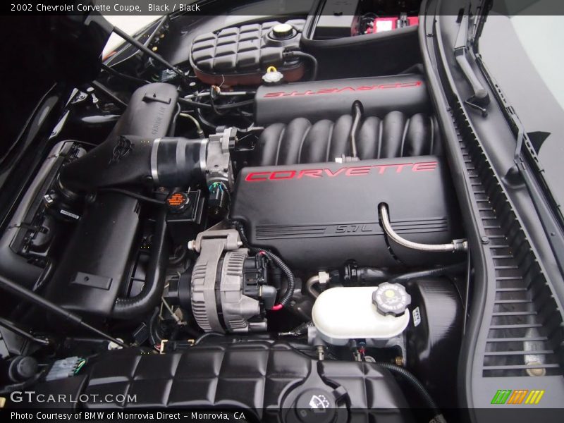 Black / Black 2002 Chevrolet Corvette Coupe