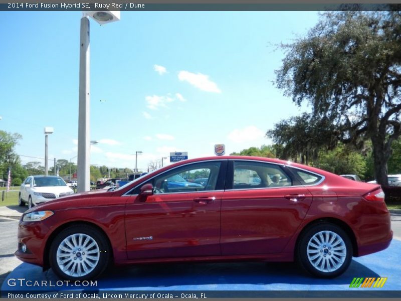 Ruby Red / Dune 2014 Ford Fusion Hybrid SE