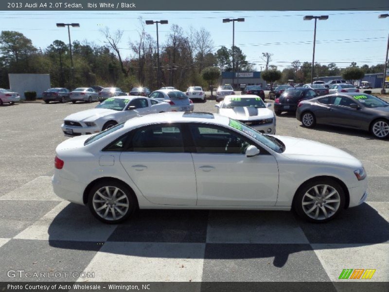 Ibis White / Black 2013 Audi A4 2.0T Sedan