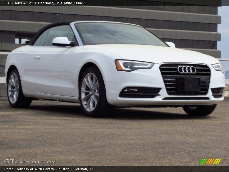 Ibis White / Black 2014 Audi A5 2.0T Cabriolet