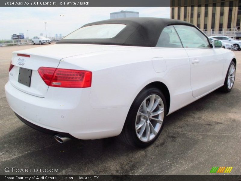 Ibis White / Black 2014 Audi A5 2.0T Cabriolet