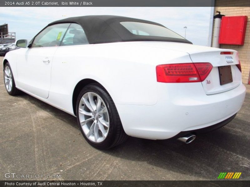 Ibis White / Black 2014 Audi A5 2.0T Cabriolet