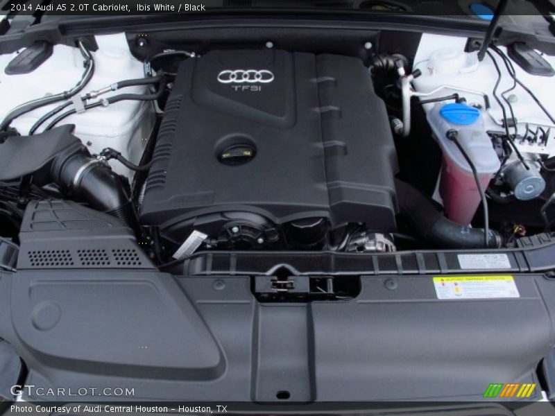 Ibis White / Black 2014 Audi A5 2.0T Cabriolet