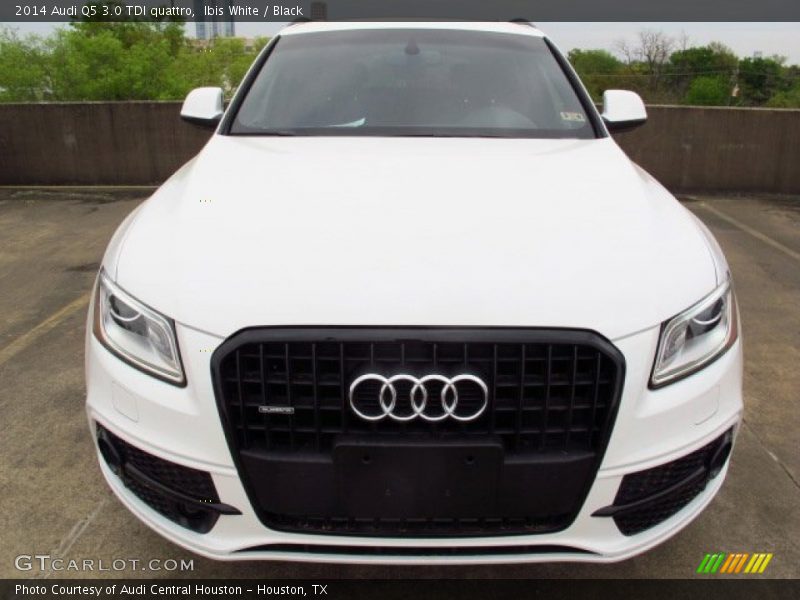  2014 Q5 3.0 TDI quattro Ibis White