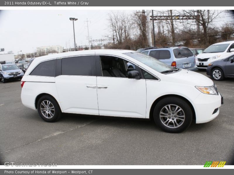 Taffeta White / Gray 2011 Honda Odyssey EX-L