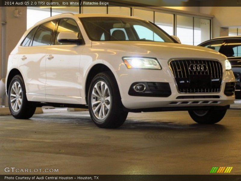 Ibis White / Pistachio Beige 2014 Audi Q5 2.0 TFSI quattro