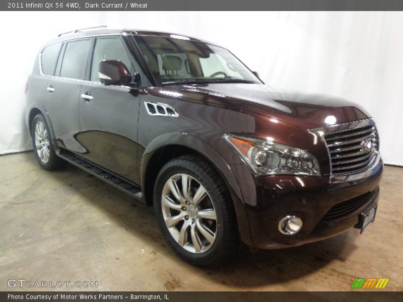 Dark Currant / Wheat 2011 Infiniti QX 56 4WD