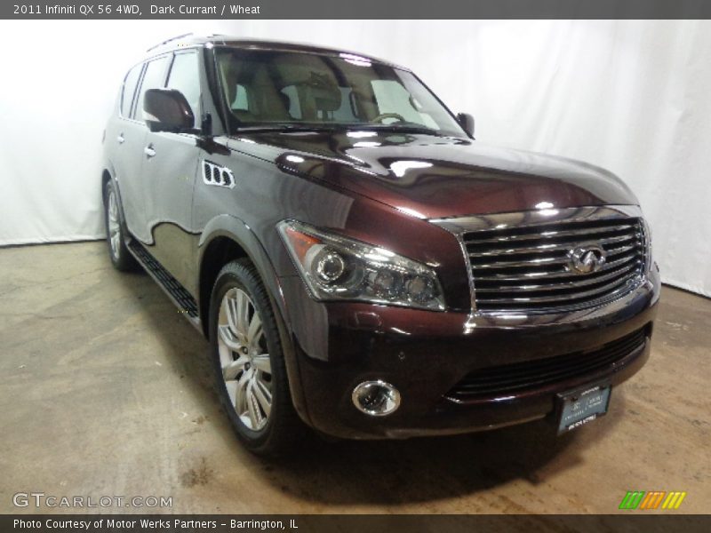 Dark Currant / Wheat 2011 Infiniti QX 56 4WD
