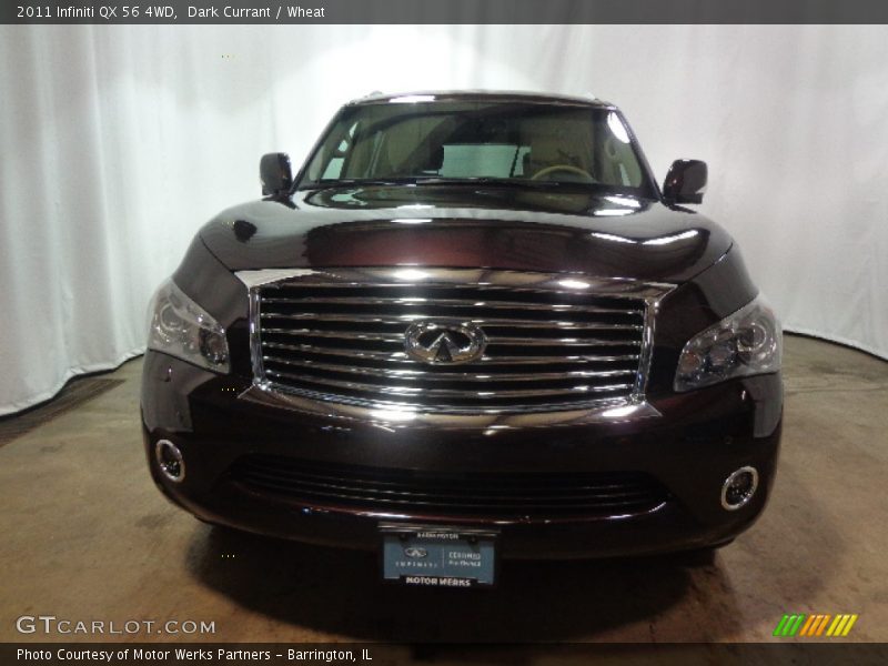 Dark Currant / Wheat 2011 Infiniti QX 56 4WD