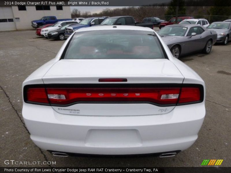 Bright White / Black/Red 2014 Dodge Charger R/T Plus AWD