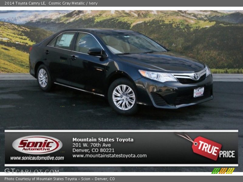 Cosmic Gray Metallic / Ivory 2014 Toyota Camry LE