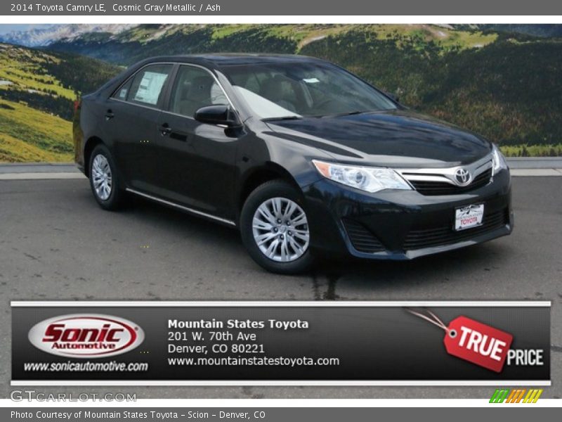 Cosmic Gray Metallic / Ash 2014 Toyota Camry LE