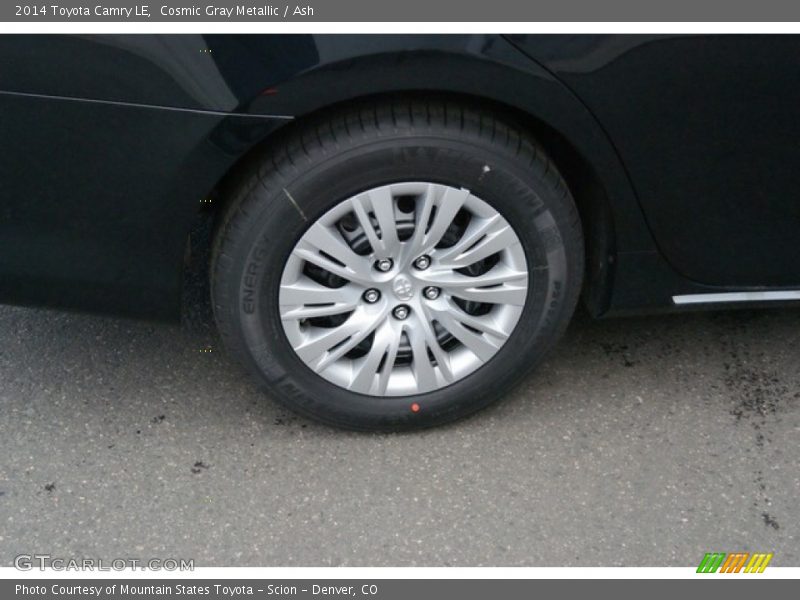 Cosmic Gray Metallic / Ash 2014 Toyota Camry LE