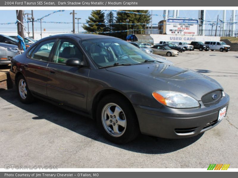 Dark Shadow Grey Metallic / Medium Graphite 2004 Ford Taurus SES Sedan