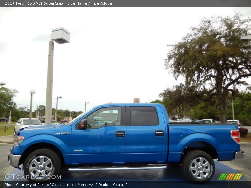 Blue Flame / Pale Adobe 2014 Ford F150 XLT SuperCrew
