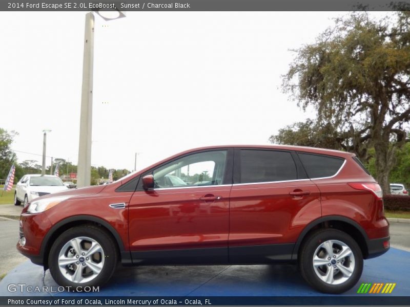 Sunset / Charcoal Black 2014 Ford Escape SE 2.0L EcoBoost