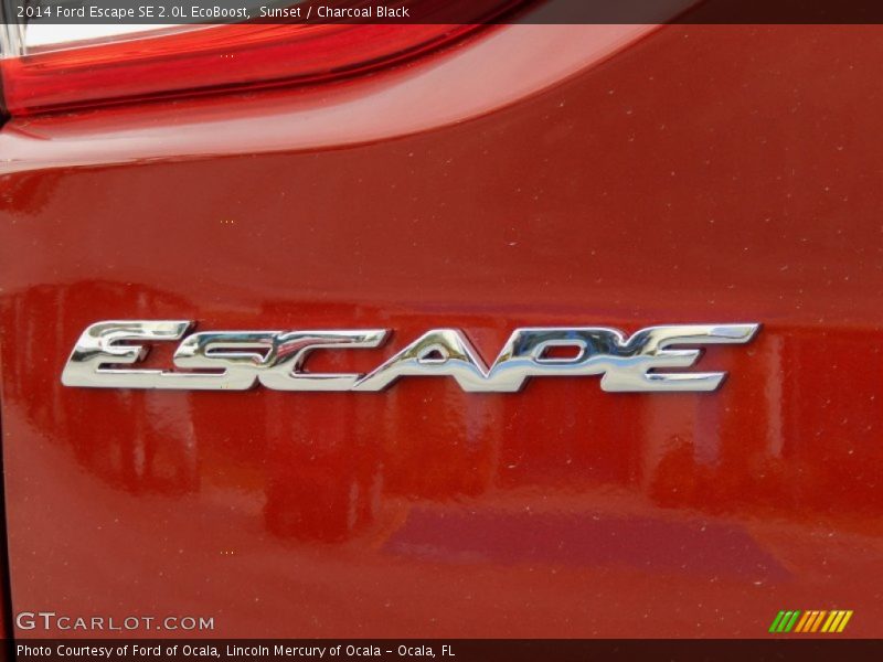 Sunset / Charcoal Black 2014 Ford Escape SE 2.0L EcoBoost