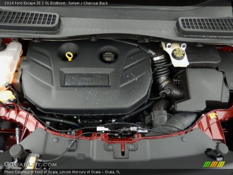 Sunset / Charcoal Black 2014 Ford Escape SE 2.0L EcoBoost