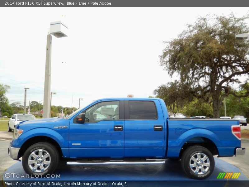 Blue Flame / Pale Adobe 2014 Ford F150 XLT SuperCrew