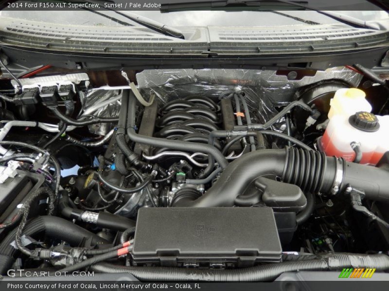 Sunset / Pale Adobe 2014 Ford F150 XLT SuperCrew