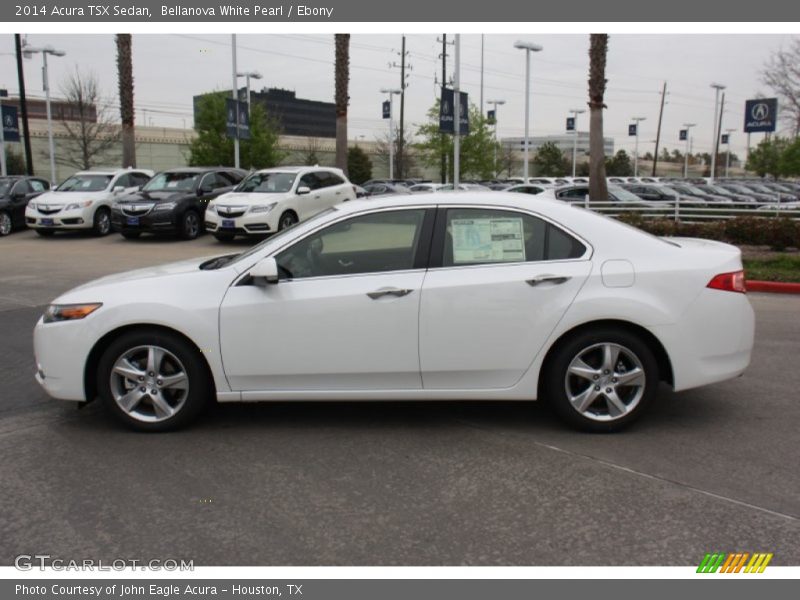 Bellanova White Pearl / Ebony 2014 Acura TSX Sedan