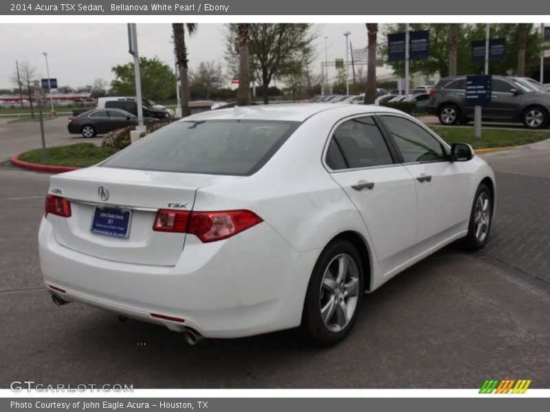 Bellanova White Pearl / Ebony 2014 Acura TSX Sedan