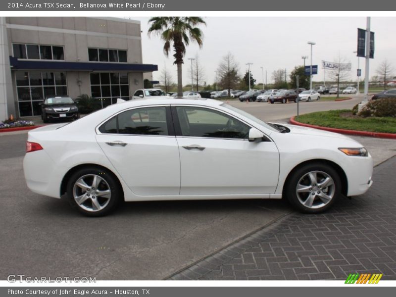Bellanova White Pearl / Ebony 2014 Acura TSX Sedan