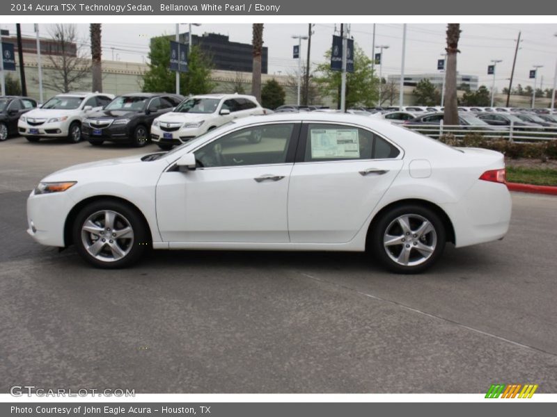Bellanova White Pearl / Ebony 2014 Acura TSX Technology Sedan