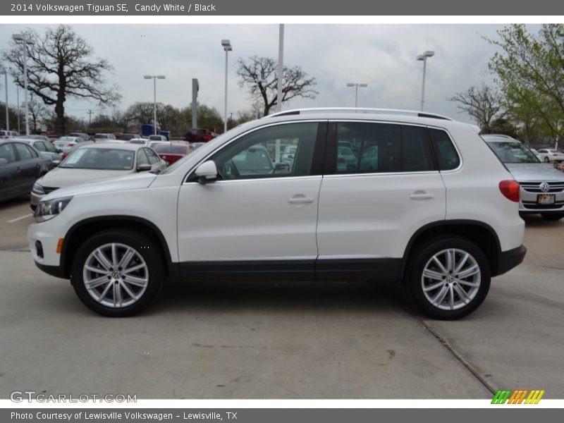 Candy White / Black 2014 Volkswagen Tiguan SE