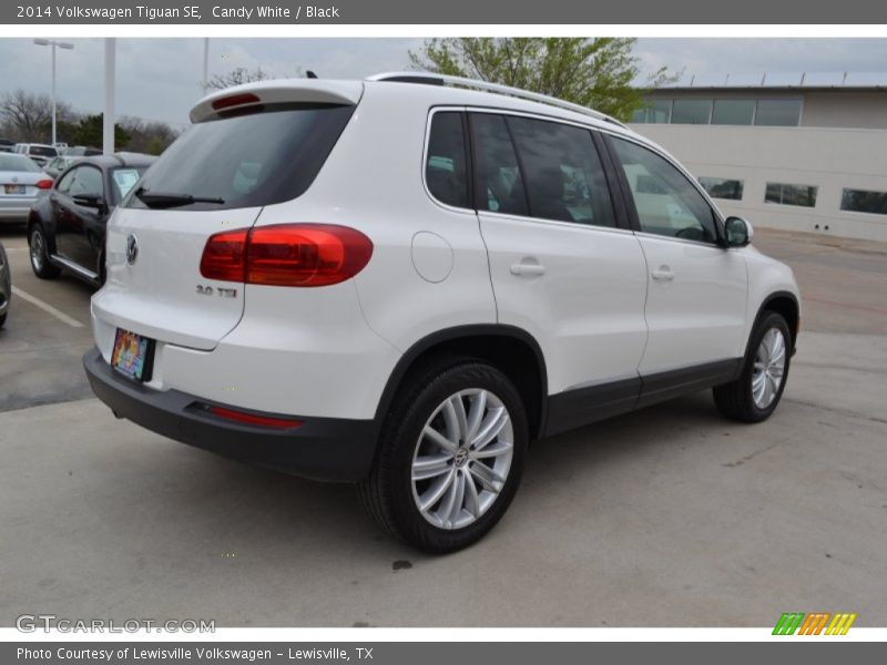Candy White / Black 2014 Volkswagen Tiguan SE