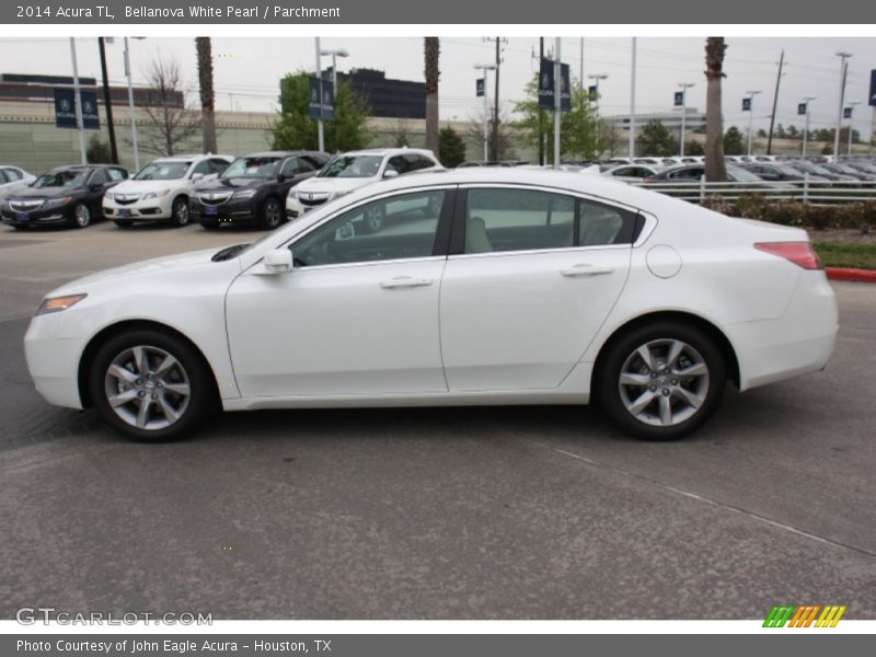Bellanova White Pearl / Parchment 2014 Acura TL