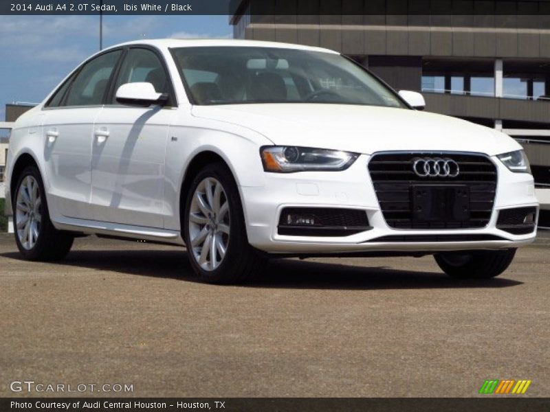 Ibis White / Black 2014 Audi A4 2.0T Sedan