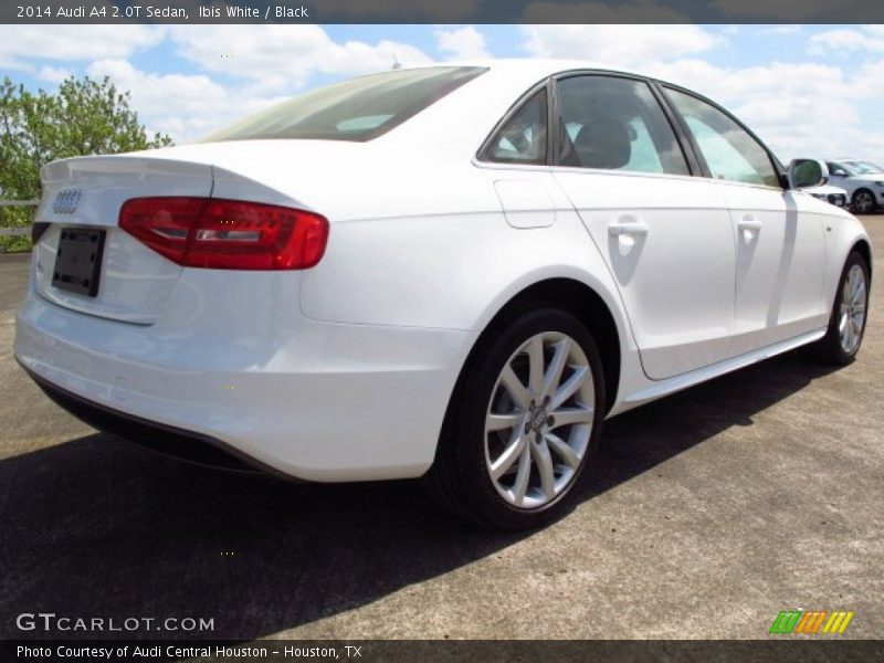 Ibis White / Black 2014 Audi A4 2.0T Sedan