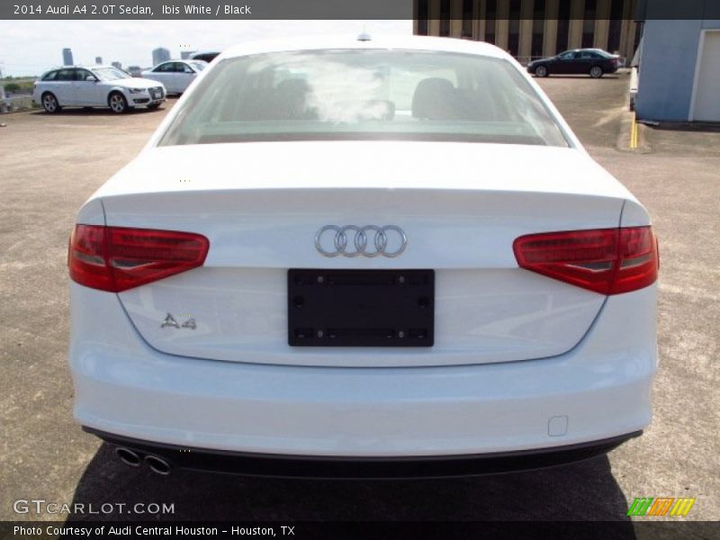 Ibis White / Black 2014 Audi A4 2.0T Sedan