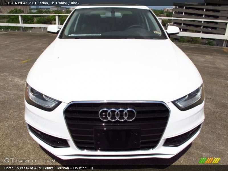 Ibis White / Black 2014 Audi A4 2.0T Sedan