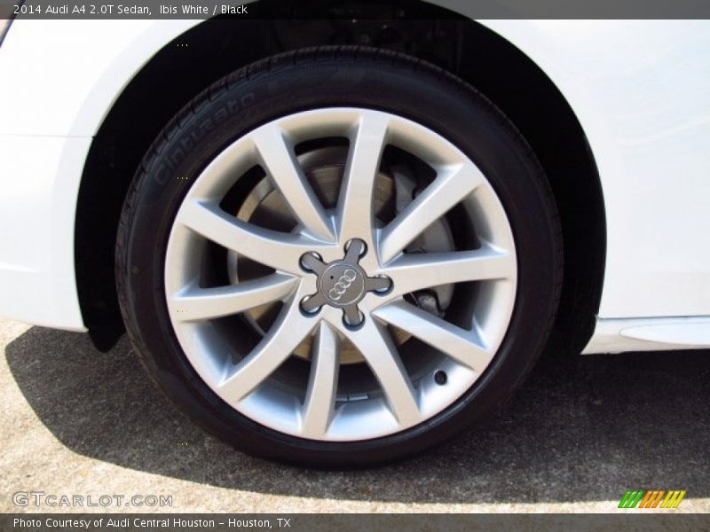 Ibis White / Black 2014 Audi A4 2.0T Sedan