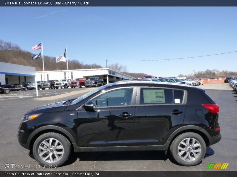 Black Cherry / Black 2014 Kia Sportage LX AWD