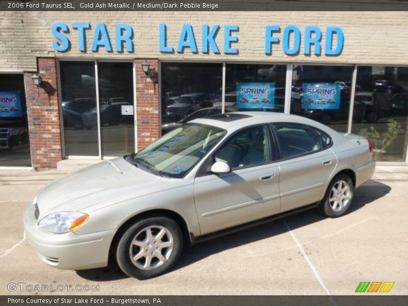 Gold Ash Metallic / Medium/Dark Pebble Beige 2006 Ford Taurus SEL