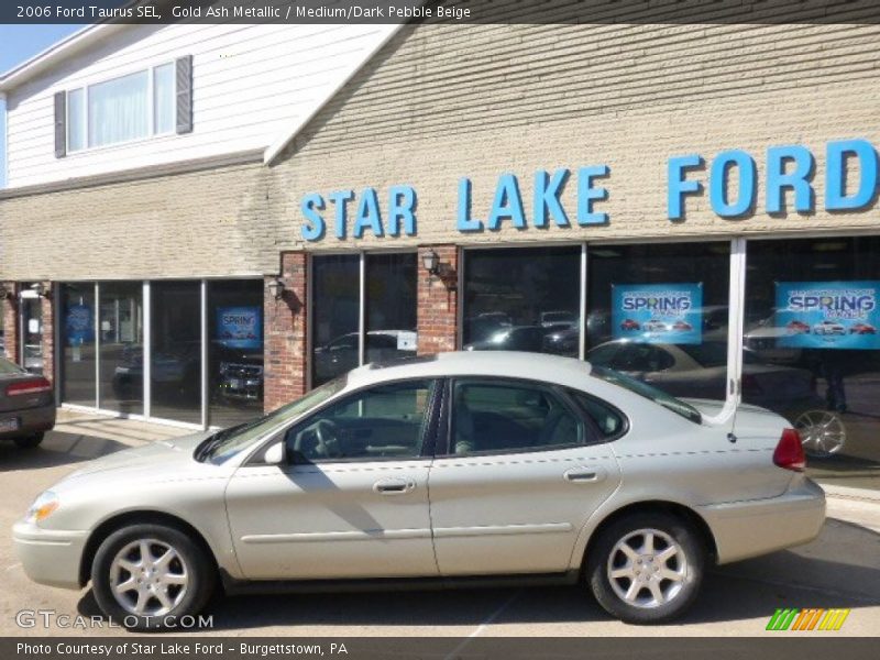 Gold Ash Metallic / Medium/Dark Pebble Beige 2006 Ford Taurus SEL