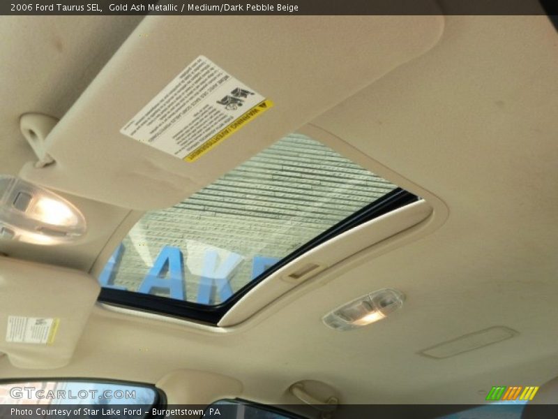 Gold Ash Metallic / Medium/Dark Pebble Beige 2006 Ford Taurus SEL