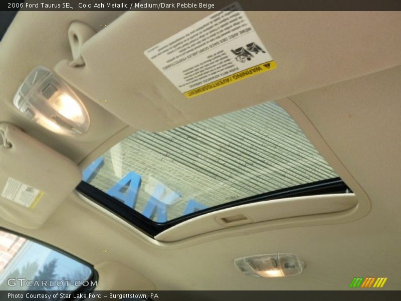 Gold Ash Metallic / Medium/Dark Pebble Beige 2006 Ford Taurus SEL