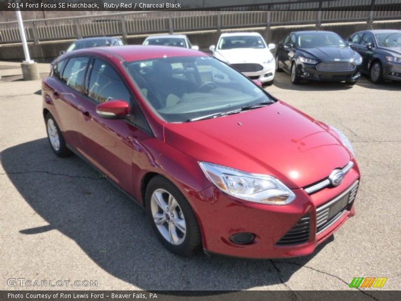 Ruby Red / Charcoal Black 2014 Ford Focus SE Hatchback