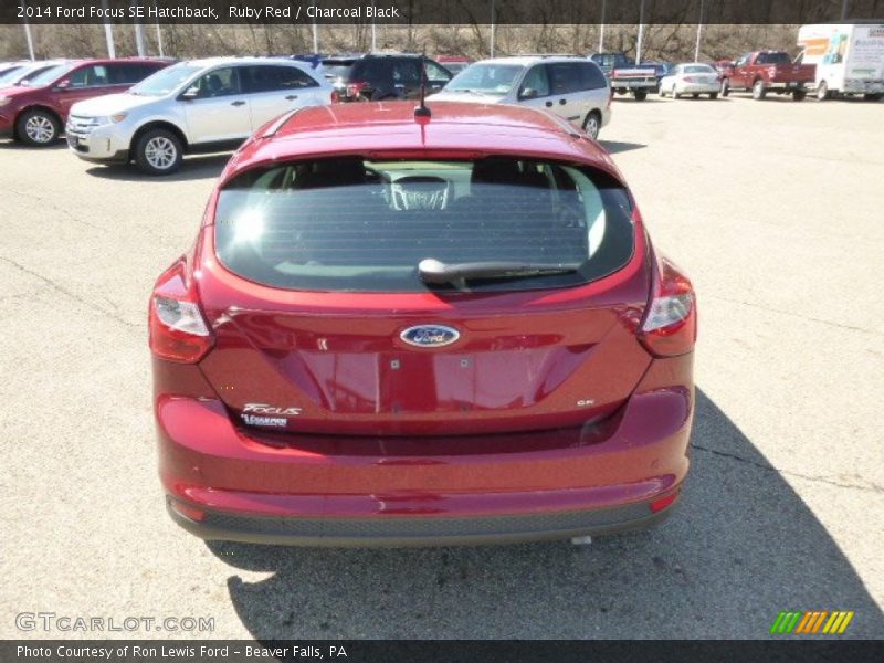 Ruby Red / Charcoal Black 2014 Ford Focus SE Hatchback