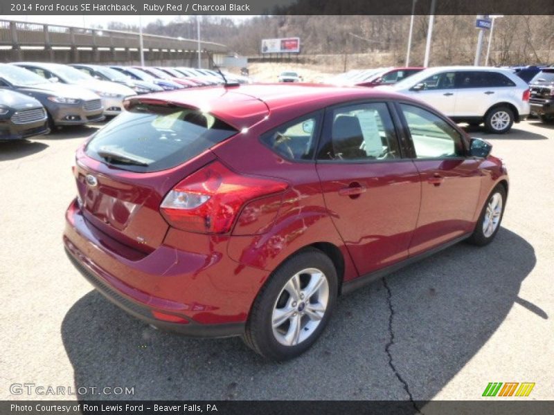 Ruby Red / Charcoal Black 2014 Ford Focus SE Hatchback