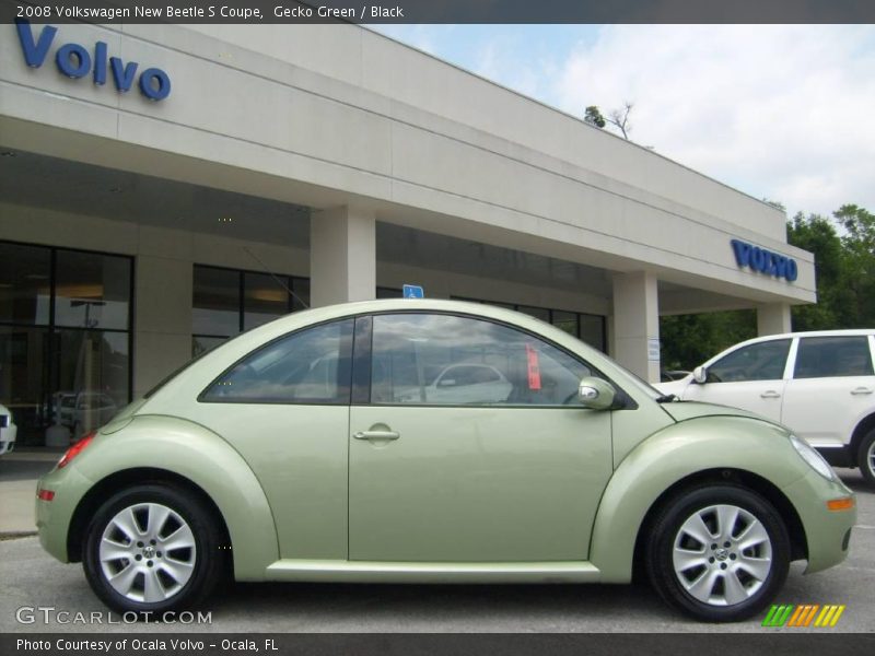 Gecko Green / Black 2008 Volkswagen New Beetle S Coupe